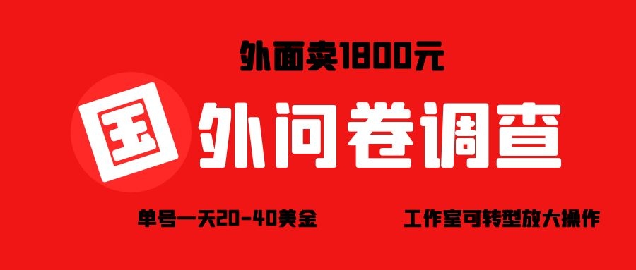 市面收费1800元的国外调查问卷项目