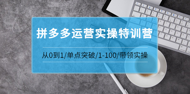 青云:拼多多运营实操特训营：从0到1/单点突破/1-100/带领实操