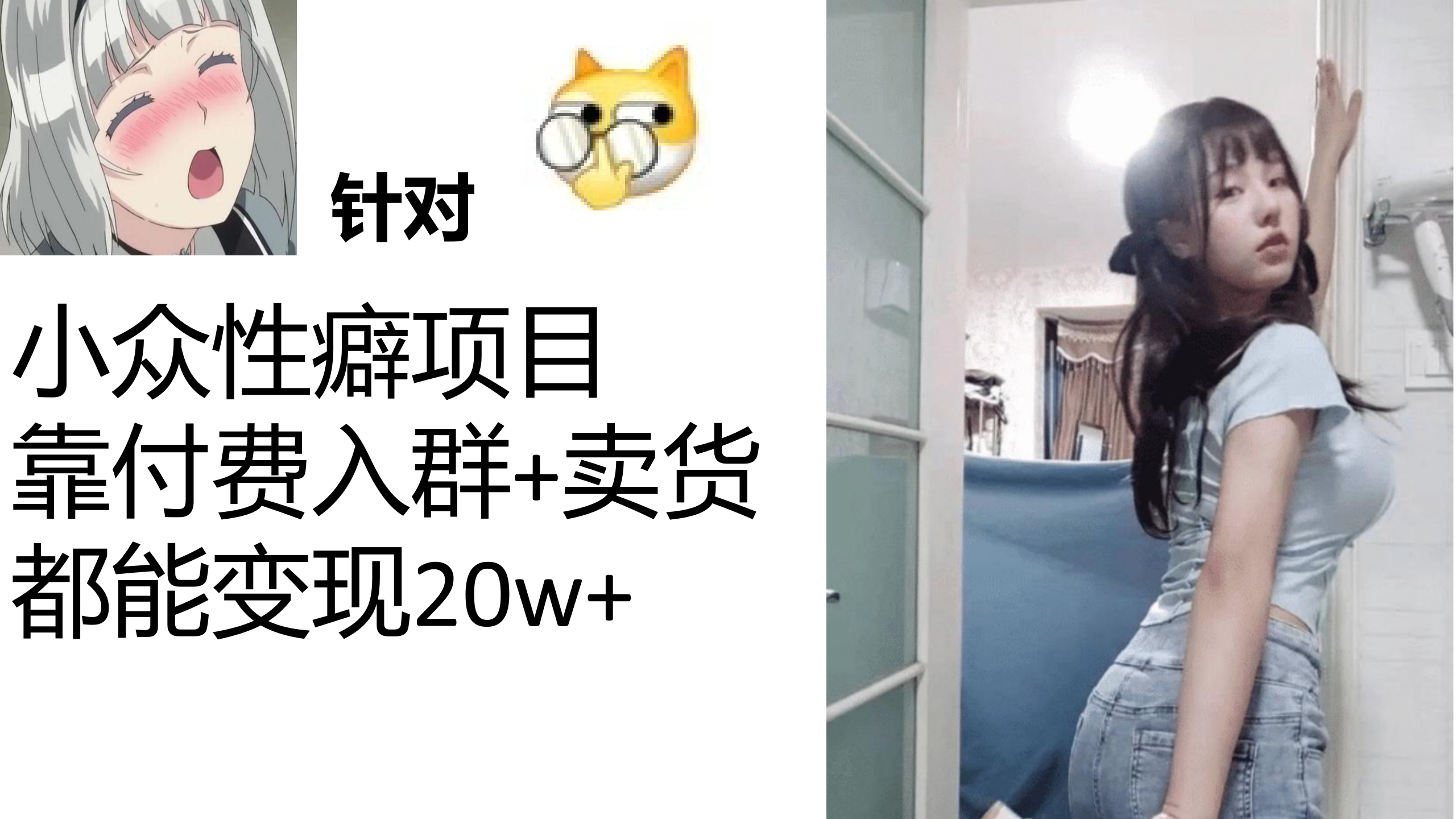 小众性癖项目，Lsp的钱才是最好赚的，付费建群+卖货变现20w的案例