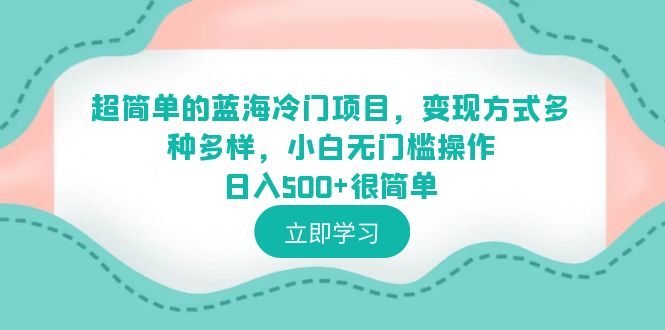 超简单的蓝海冷门项目，变现方式多种多样，小白无门槛操作，课程解析，学习经验，实现,很简单。